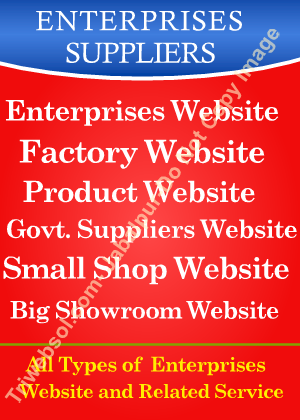 Enterprises Website Development Company in Jabalpur