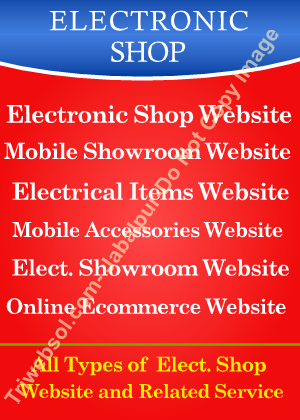 electronic showroom website making company in jabalpur