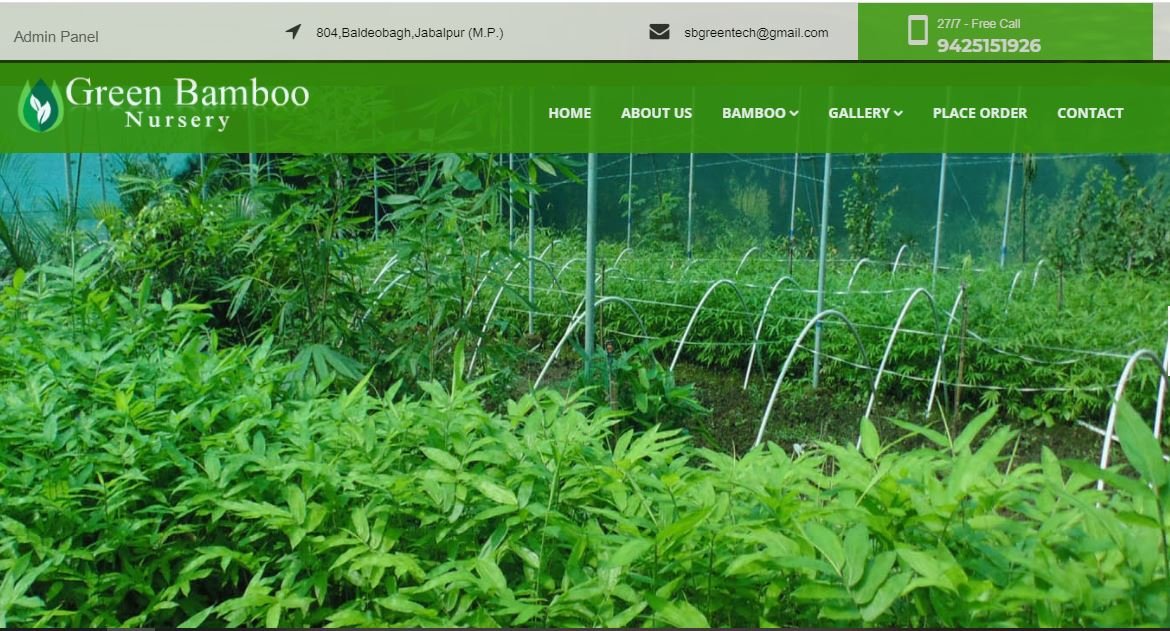 green bamboo nursery jabalpur